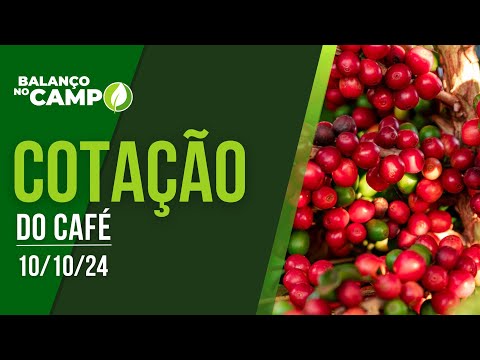 COTAÇÃO DO CAFÉ - 10/10/2024