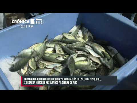 Industria de pesca en Nicaragua en crecimiento y se fortalece la acuicultura