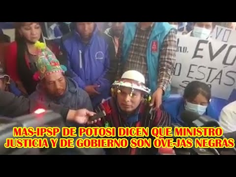 MAS-IPSP DE POTOSI SALEN DEFENSA DE EVO MORALES Y LE DICEN NO ESTAS SOLO  AQUI ESTA EL PUEBLO..