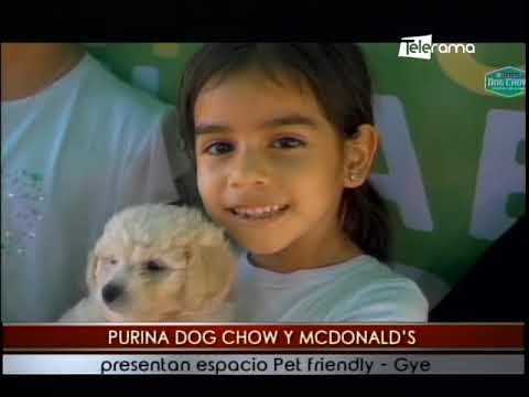 Purina Dog Chow y Mcdonald's presentan espacio Pet Friendly - Gye
