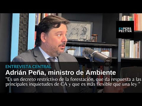 Adrián Peña sobre decreto que restringe la forestación: ¿Por qué eso y no la ley de Cabildo Abierto