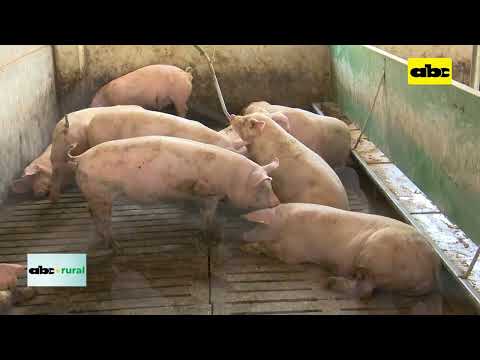 Preocupación de Aso de Criadores de Cerdos ante robos y contrabando