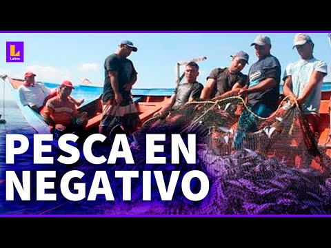 La pesca va a caer 15%: Impacto de 'El Niño' en Perú
