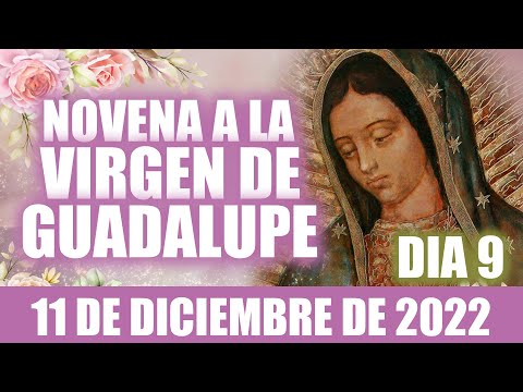 Novena a la Virgen de Guadalupe  Día 9   Hoy 11 de diciembre de 2022 ORACIÓN CATÓLICA