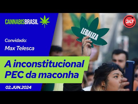 Cannabis Brasil - A inconstitucional PEC da maconha