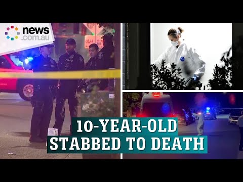 Shocking details emerge after 10-year-old stabbed to death