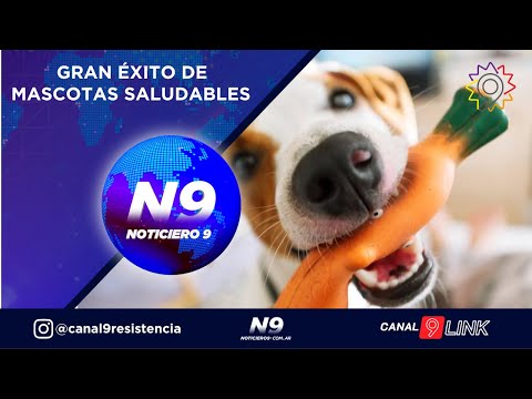 GRAN ÉXITO DE MASCOTAS SALUDABLES