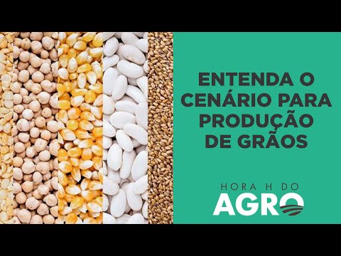 Safra 22/23 de grãos: quais os riscos e oportunidades para o agro | HORA H DO AGRO