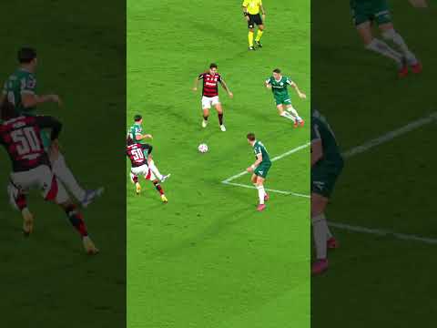 Que jogo do Pedro #futebol #flamengosempre #ecosdaarquibancada #futebolbrasileiro #brasileirão