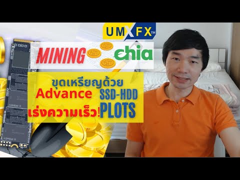ขุดเหรียญ-Chia-เร่งความเร็ว!-P ขุดเหรียญ-Chia-เร่งความเร็ว!-P
