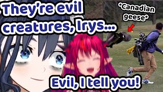 Kronii Couldn't Hide The Fear in Her Voice When She Told Irys About Th
