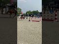 Show jumping horse Te koop Vos merrie, 5 jaar oud, stokmaat 1.67 m, PROK, parcours klaar.