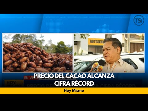 Precio del cacao alcanza cifra récord