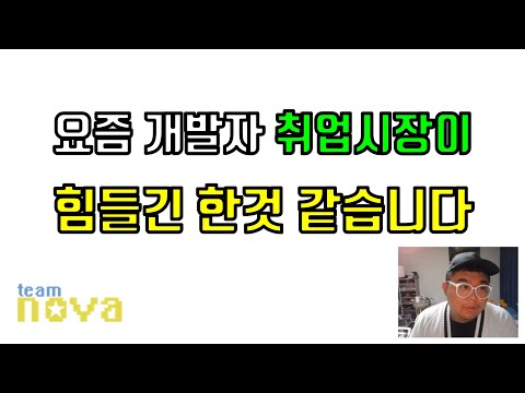 요즘 개발자 취업시장 분위기