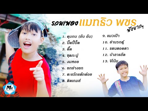 รวมเพลงแมทธิวพชรฟังยาวๆ