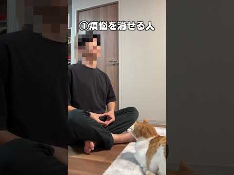 猫の動画サムネイル - 「猫に好かれる人３選」猫あるあるソング
