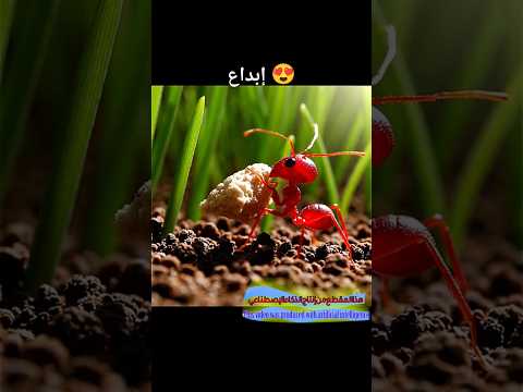 Ruby's Crumbsized Adventure: A Minute in the Micro-World . #aicreatedvideos #aishortfilm