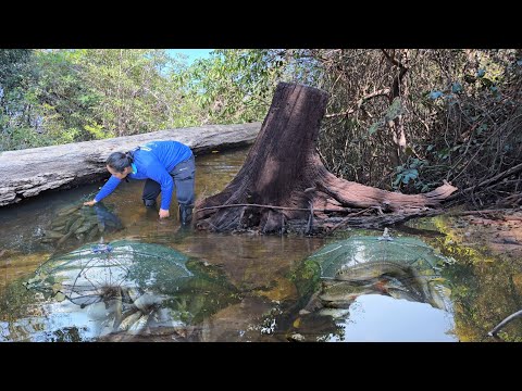 เข้าหมายเกือบเที่ยง!!เสี่ยงวา