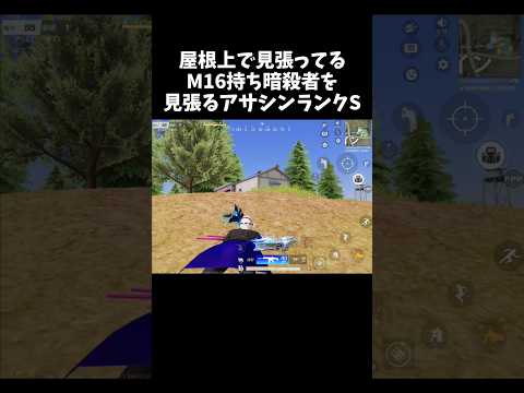 屋根上で見張ってる暗殺者を俺も見張るｗｗ【#荒野行動】# Knives Out   #荒野アプデ  #荒野GOGOFES #荒野の光