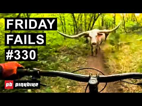 Friday Fails #330