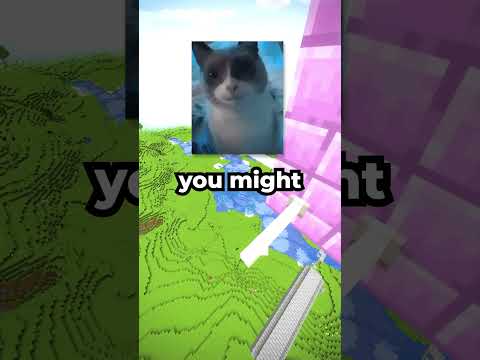 When Pills Fly 💊💊