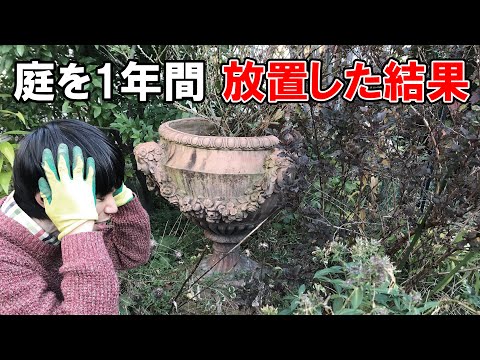 【惨状】庭の雑草を1年間放置するとこうなります！大切なお庭が汚庭に逆戻り！？【園芸】【ガーデニング】