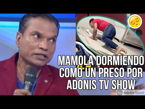 MAMOLA DORMIENDO COMO UN PRESO POR ADONIS TV SHOW