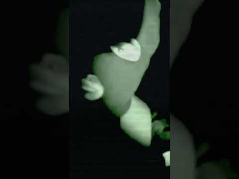 FUÍ A UNA ISLA DESIERTA A INV0C4R A LAS CRIATURAS🏝️💀 #doctornowhere #terror #viplajo #creature