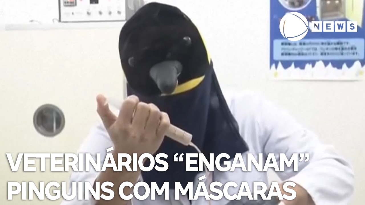 Veterinários “enganam” filhotes de pinguins com máscaras