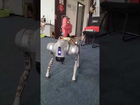 UGV vs Robot dog#ugv#robot dog