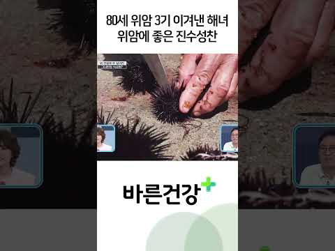 위암 3기 이겨내고 80세까지도 해녀 활동할 수 있는 비결