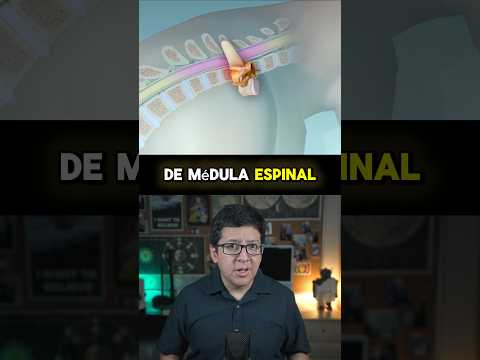 Gran Avance Contra la Parálisis 🤯