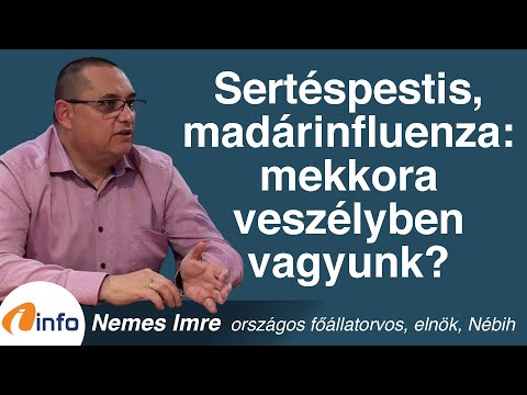 Sertéspestis, madárinfluenza: mekkora veszélyben vagyunk? Nemes Imre, Inforádió, Aréna