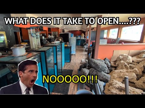What DOES it take to OPEN an AQUATIC and REPTILE s Construction begins!!! In this video we explain what is about to happen with our new store. Huge pro