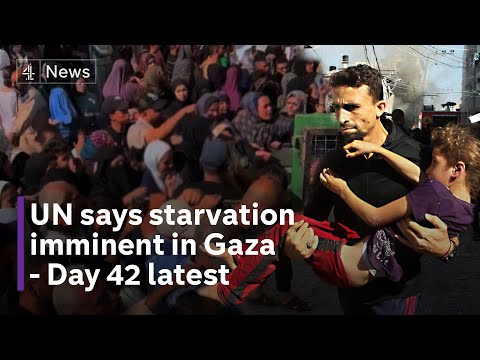Israel approves two lorries of fuel a day for Gaza as UN warns of starvation risk