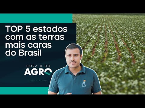 Terras agrícolas: Quanto vale na sua região? | HORA H DO AGRO