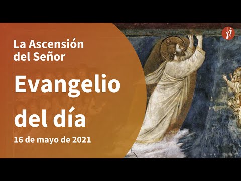 Evangelio 16/05/2021