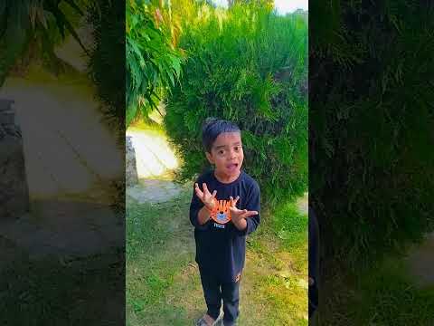 🌴🌴 Anant Ne ped se jamun gira diye 🌴🌴#shorts #trending #subscribe