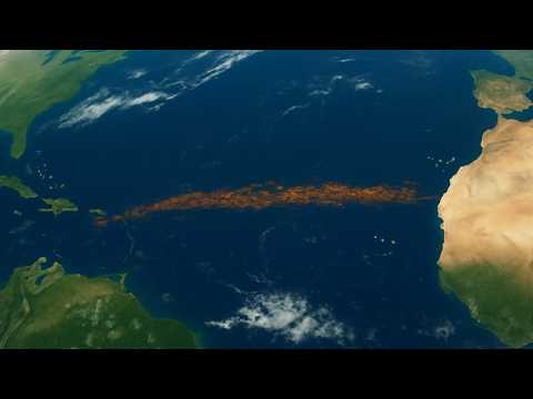 A Nagy Atlanti Sargassum-öv MEGFULLASZTJA a Karib-térséget