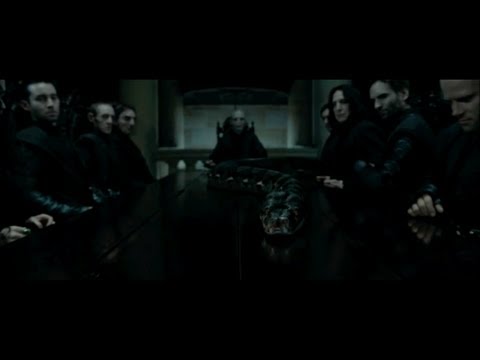 Harry Potter and the Deathly Hallows part 1 - Malfoy Manor