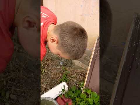 Строитель 💪😊👍 #мастер #master #shorts