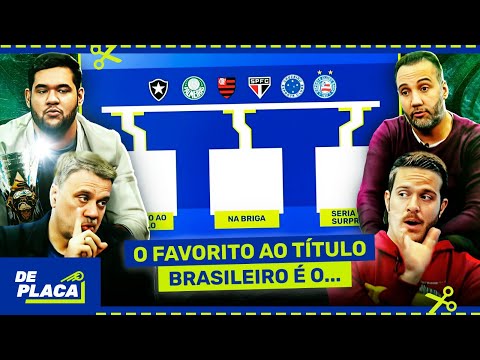 APESAR DO BOTAFOGO SER LÍDER, ACREDITO QUE PALMEIRAS E FLAMENGO ESTÃO MAIS ACOSTUMADOS COM DECISÃO