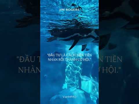 Biến Tiền Nhàn Rỗi Thành Cơ Hội