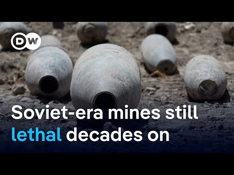 Funding shortfall hits demining groups in Afghanistan | DW News