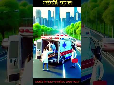 গর্ভবতী মা ছাগল... #ai #cartoon #animals #facts #viral #comedy #funny #amazingfacts #trending #art