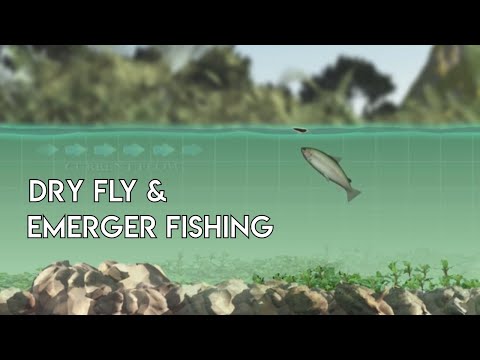 Dry Flies & Emergers - How to Use