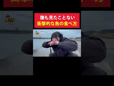 誰も見たことがない衝撃的な魚の食べ方 #ざんげちゃん #釣り好き #釣り好きと繋がりたい #釣り動画 #釣り初心者 #釣りガール