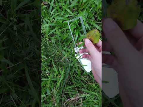 Samsung S25 UltraMobile phone screen quality display