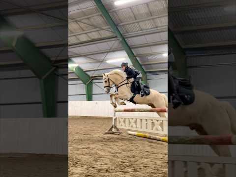 Which country are you from? Tell me in the comments👇🏻🔥 #shorts #horse #pony