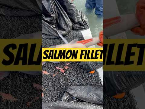 Quick Salmon Fillet #fishinglife #fishcutting  #cooking #catchandcook #salmonfillet #shortvideo